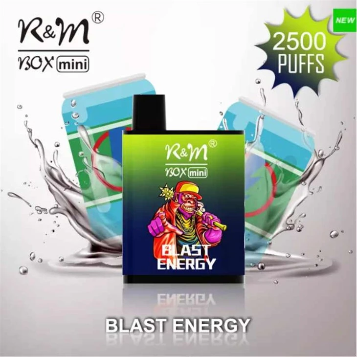 BLWCH R&M MINI 2500