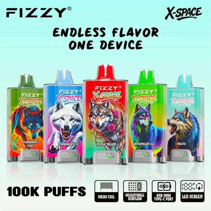 Fizzy X-Space 100000 Puffs Vape high quality