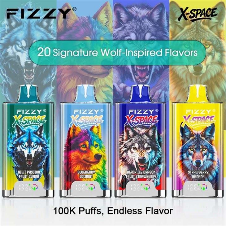 Fizzy X-Space 100000 Puffs Vape best