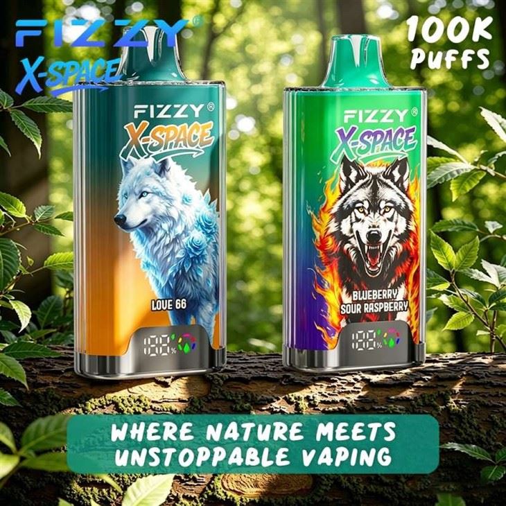 Fizzy X-Space 100000 Puffs Vape best
