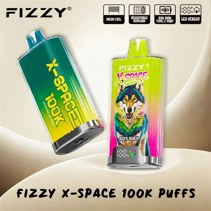 Fizzy X-Space 100000 Puffs Vape price