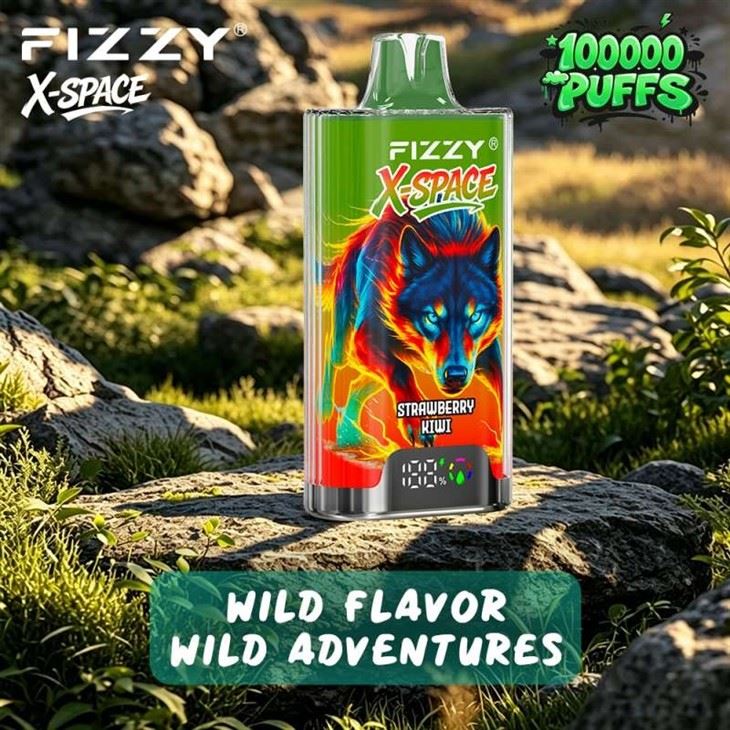 Fizzy X-Space 100000 Puffs Vape best
