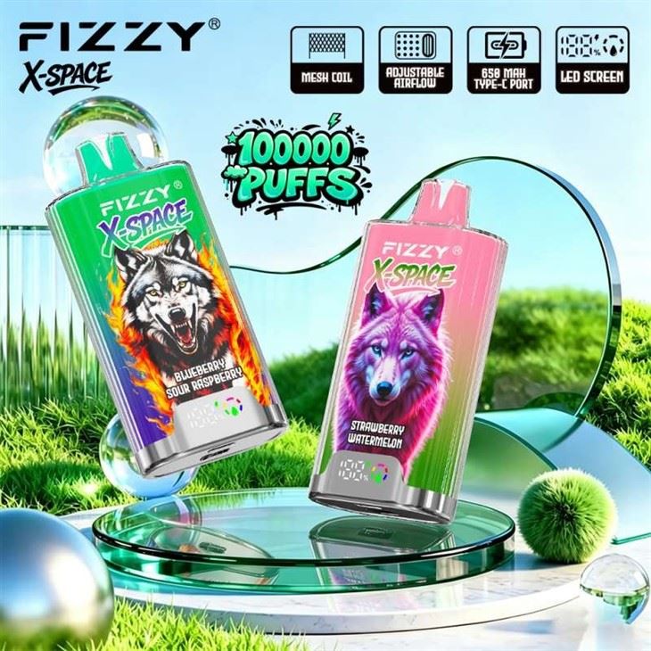 Fizzy X-Space 100000 Puffs Vape factory