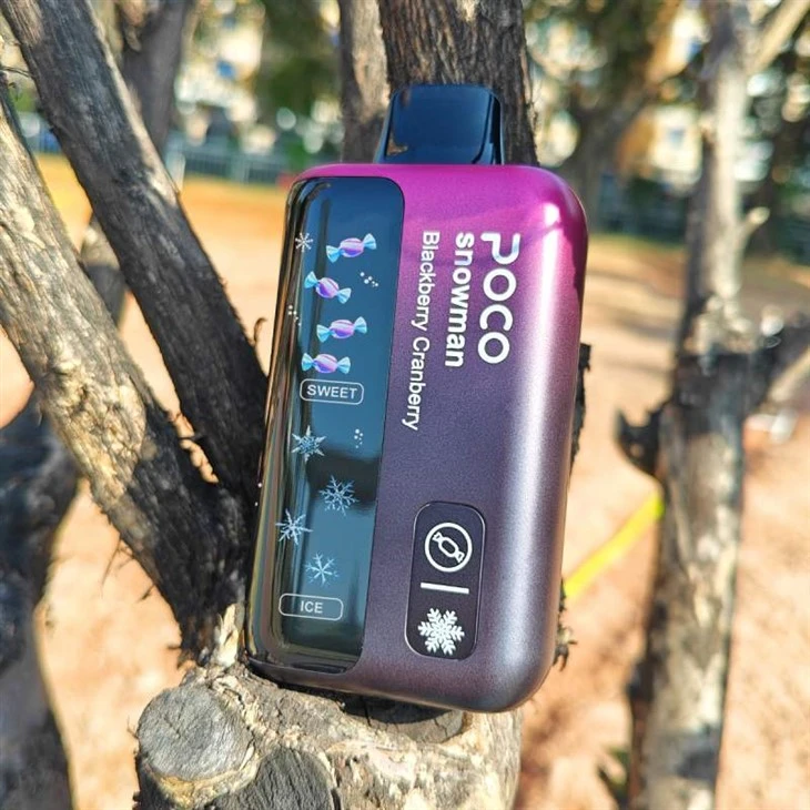 POCO Eira 70000 PUFFS