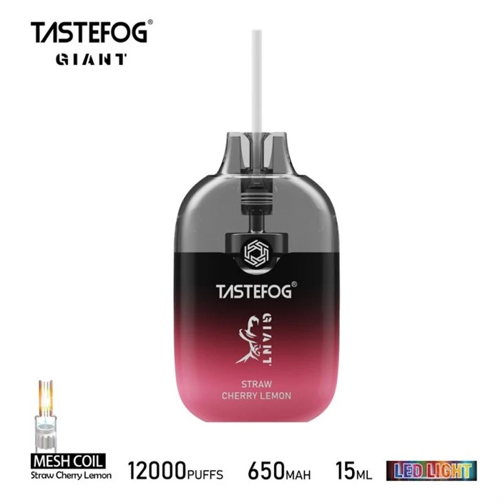 GIANT TASTEFOG 12000