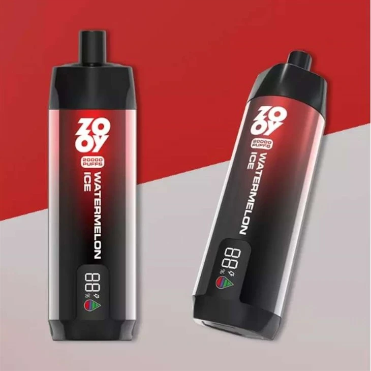ZOY VAPE SHISHA 20000 PUFP